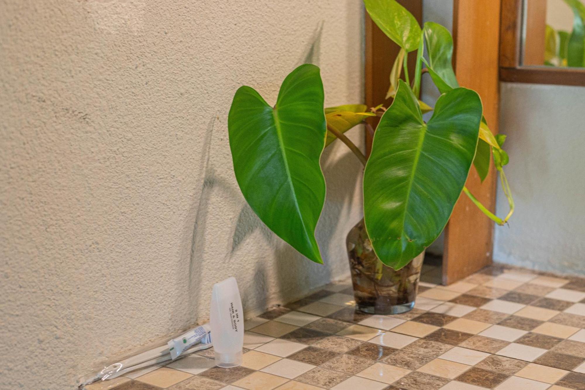 Green Asri Hotel Senggigi Εξωτερικό φωτογραφία